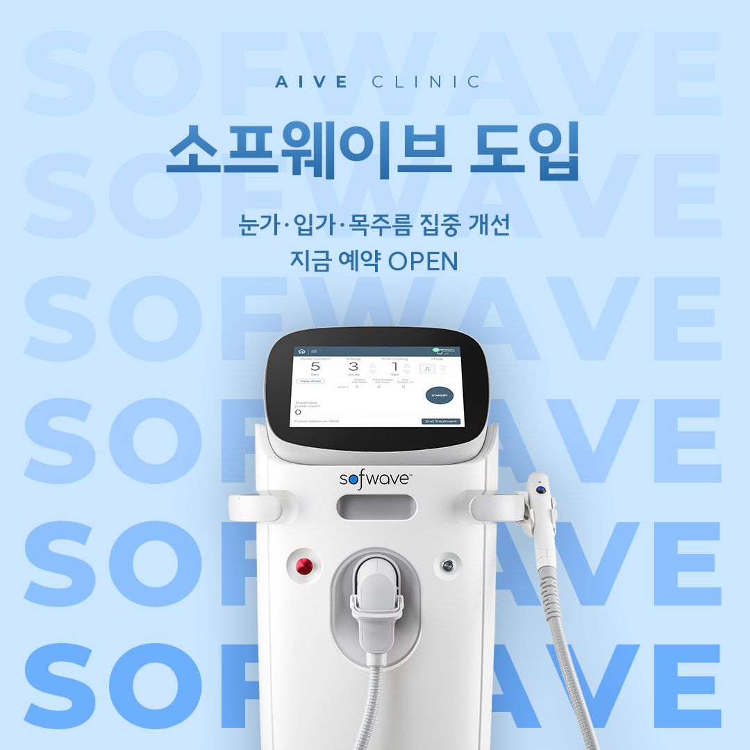 소프웨이브 도입